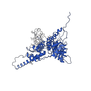 31894_7vcs_G_v1-1
Human p97 double hexamer conformer II with ATPgammaS bound