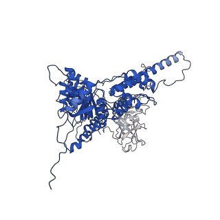 31894_7vcs_J_v1-1
Human p97 double hexamer conformer II with ATPgammaS bound