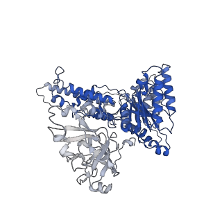 31897_7vcv_F_v1-1
Human p97 single hexamer conformer I with ATPgammaS bound