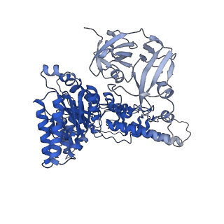 31899_7vcx_A_v1-1
Human p97 single hexamer conformer II with ATPgammaS bound