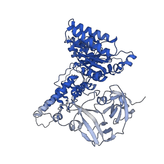31899_7vcx_C_v1-1
Human p97 single hexamer conformer II with ATPgammaS bound