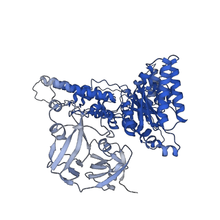 31899_7vcx_D_v1-1
Human p97 single hexamer conformer II with ATPgammaS bound