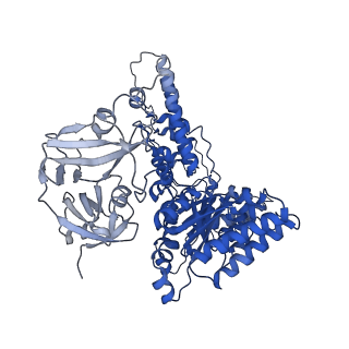 31899_7vcx_E_v1-1
Human p97 single hexamer conformer II with ATPgammaS bound