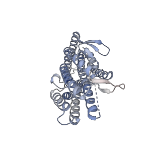 43129_8vc1_A_v1-1
CryoEM structure of insect gustatory receptor BmGr9