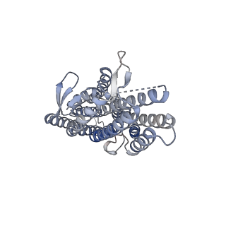43129_8vc1_B_v1-1
CryoEM structure of insect gustatory receptor BmGr9