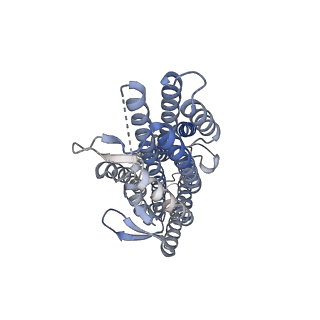 43129_8vc1_C_v1-1
CryoEM structure of insect gustatory receptor BmGr9