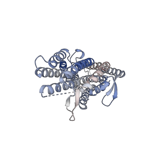 43129_8vc1_D_v1-1
CryoEM structure of insect gustatory receptor BmGr9