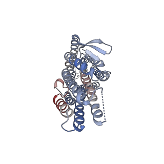 43130_8vc2_A_v1-1
CryoEM structure of insect gustatory receptor BmGr9 in the presence of fructose