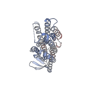 43130_8vc2_C_v1-1
CryoEM structure of insect gustatory receptor BmGr9 in the presence of fructose