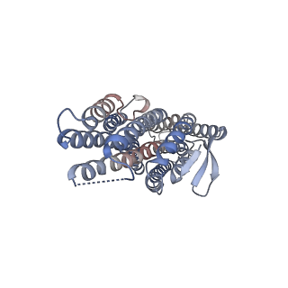 43130_8vc2_D_v1-1
CryoEM structure of insect gustatory receptor BmGr9 in the presence of fructose