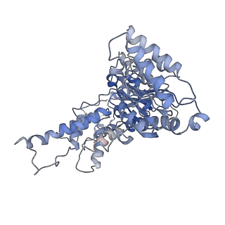 8658_5vc7_A_v1-3
VCP like ATPase from T. acidophilum (VAT) - conformation 1