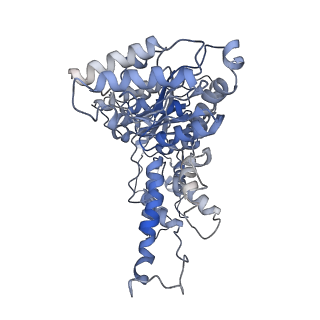 8658_5vc7_C_v1-3
VCP like ATPase from T. acidophilum (VAT) - conformation 1