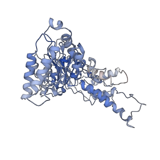 8658_5vc7_D_v1-3
VCP like ATPase from T. acidophilum (VAT) - conformation 1