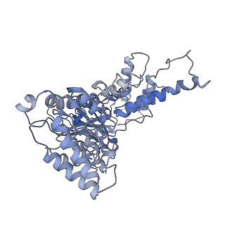 8658_5vc7_E_v1-3
VCP like ATPase from T. acidophilum (VAT) - conformation 1