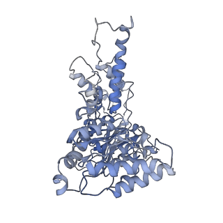 8658_5vc7_F_v1-3
VCP like ATPase from T. acidophilum (VAT) - conformation 1