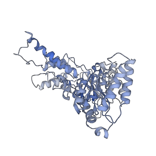 8658_5vc7_G_v1-3
VCP like ATPase from T. acidophilum (VAT) - conformation 1