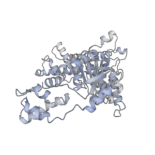 8659_5vca_P_v1-4
VCP like ATPase from T. acidophilum (VAT)-Substrate bound conformation