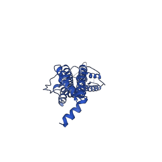 21150_6vd7_B_v1-1
Cryo-EM structure of Xenopus tropicalis pannexin 1 channel