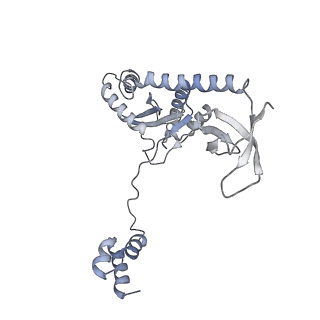 21151_6vdk_A_v1-2
CryoEM structure of HIV-1 conserved Intasome Core