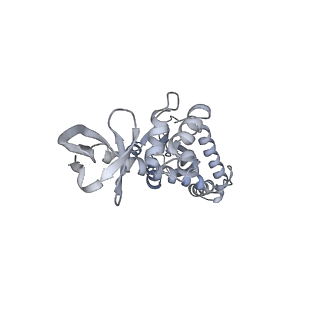 21151_6vdk_B_v1-2
CryoEM structure of HIV-1 conserved Intasome Core