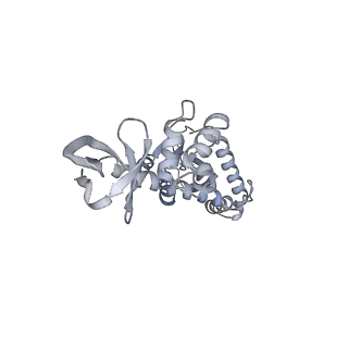 21151_6vdk_B_v1-3
CryoEM structure of HIV-1 conserved Intasome Core