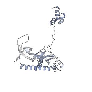 21151_6vdk_C_v1-3
CryoEM structure of HIV-1 conserved Intasome Core