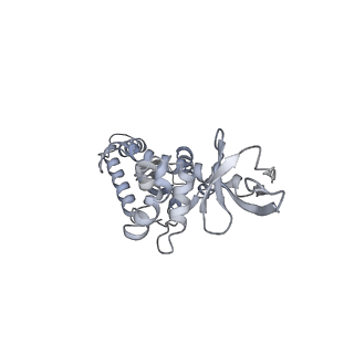 21151_6vdk_D_v1-3
CryoEM structure of HIV-1 conserved Intasome Core