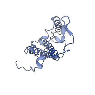 31905_7vd5_14_v1-1
Structure of C2S2M2-type PSII-FCPII supercomplex from diatom