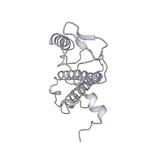 31905_7vd5_15_v1-1
Structure of C2S2M2-type PSII-FCPII supercomplex from diatom