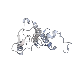31905_7vd5_16_v1-1
Structure of C2S2M2-type PSII-FCPII supercomplex from diatom