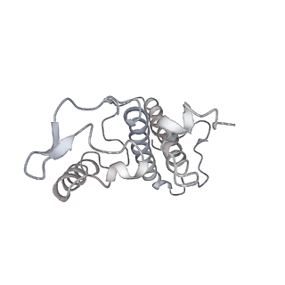 31905_7vd5_38_v1-1
Structure of C2S2M2-type PSII-FCPII supercomplex from diatom