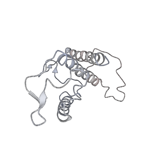 31905_7vd5_40_v1-1
Structure of C2S2M2-type PSII-FCPII supercomplex from diatom