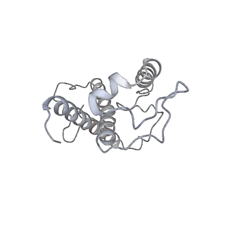 31905_7vd5_41_v1-1
Structure of C2S2M2-type PSII-FCPII supercomplex from diatom
