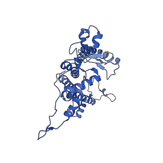 31905_7vd5_A_v1-1
Structure of C2S2M2-type PSII-FCPII supercomplex from diatom