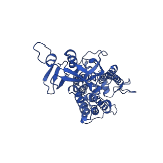 31905_7vd5_B_v1-1
Structure of C2S2M2-type PSII-FCPII supercomplex from diatom