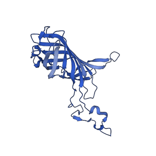31905_7vd5_O_v1-1
Structure of C2S2M2-type PSII-FCPII supercomplex from diatom