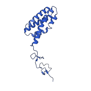 31905_7vd5_Q_v1-1
Structure of C2S2M2-type PSII-FCPII supercomplex from diatom