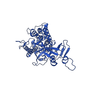 31905_7vd5_b_v1-1
Structure of C2S2M2-type PSII-FCPII supercomplex from diatom