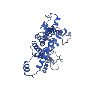 31905_7vd5_d_v1-1
Structure of C2S2M2-type PSII-FCPII supercomplex from diatom