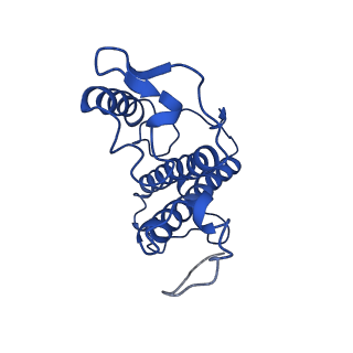31906_7vd6_11_v1-1
Structure of S1M1-type FCPII complex from diatom