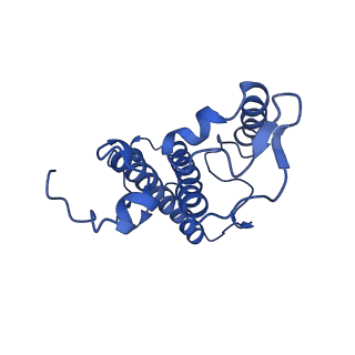 31906_7vd6_14_v1-1
Structure of S1M1-type FCPII complex from diatom