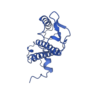 31906_7vd6_15_v1-1
Structure of S1M1-type FCPII complex from diatom