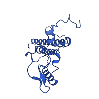 31906_7vd6_17_v1-1
Structure of S1M1-type FCPII complex from diatom
