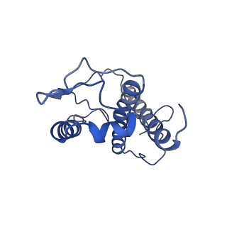 31906_7vd6_21_v1-1
Structure of S1M1-type FCPII complex from diatom
