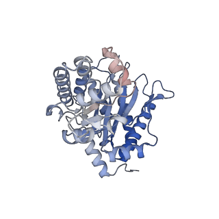 31913_7vdc_A_v1-0
3.28 A structure of the rabbit muscle aldolase
