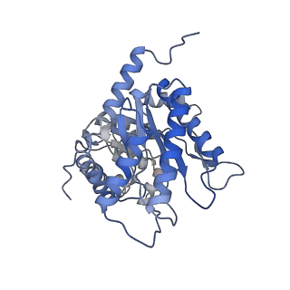 31913_7vdc_B_v1-0
3.28 A structure of the rabbit muscle aldolase