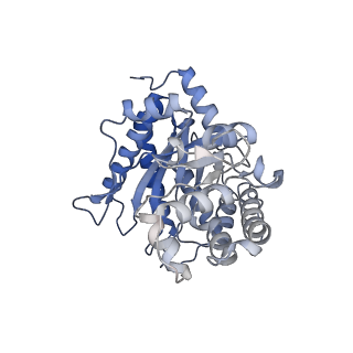 31913_7vdc_C_v1-0
3.28 A structure of the rabbit muscle aldolase