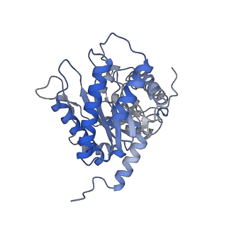 31913_7vdc_D_v1-0
3.28 A structure of the rabbit muscle aldolase