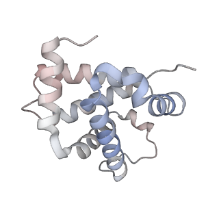 31915_7vde_A_v1-1
3.6 A structure of the human hemoglobin