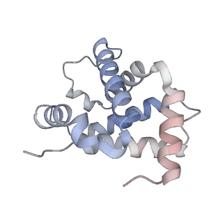 31915_7vde_C_v1-1
3.6 A structure of the human hemoglobin